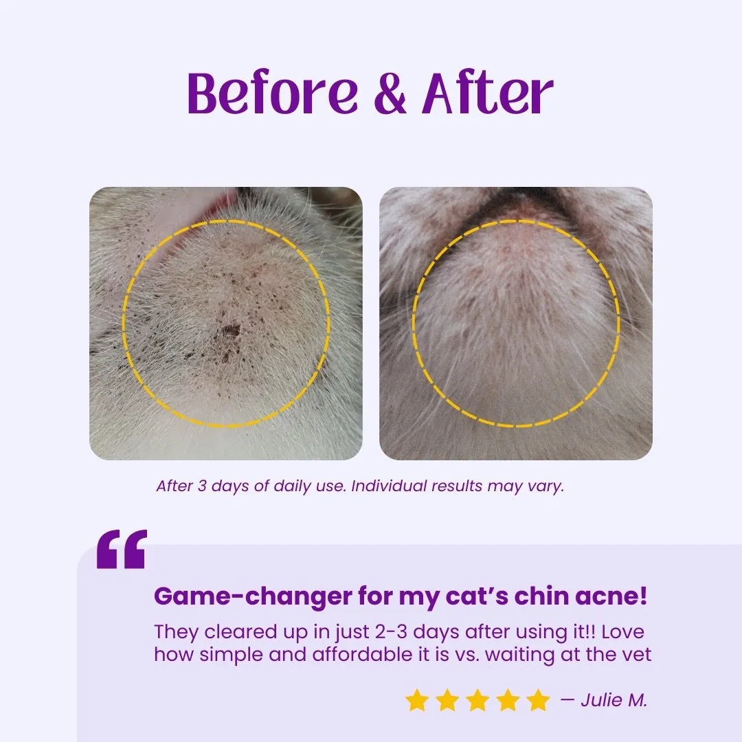 Acne Away Chin Acne Wipes for Cats